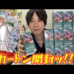 【ワンピースカード】最新弾『二つの伝説』を１カートン開封してレイリーのコミパラ当てるぞ！！