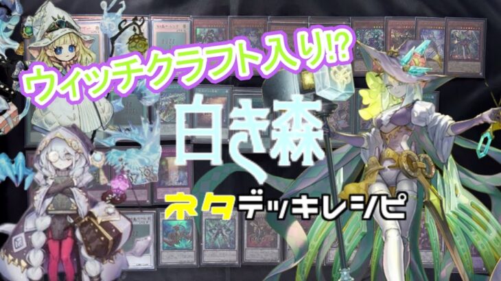 [#遊戯王]ウィッチクラフト入り!?”白き森”デッキレシピ紹介![#バズデュエル]