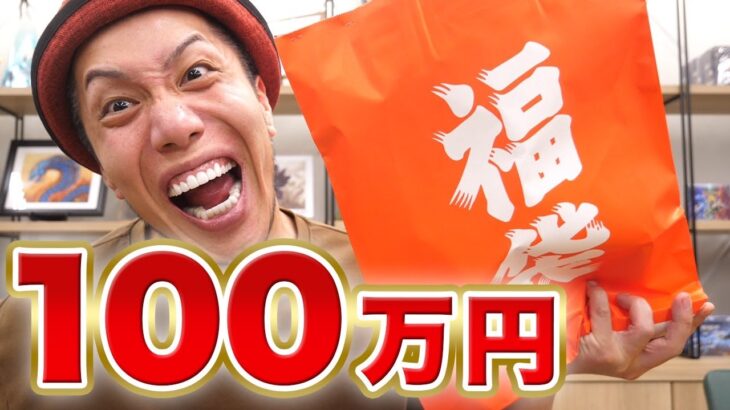 【戦慄】ワンピカード100万円福袋!! 調子に乗って開封したらヤバすぎた…