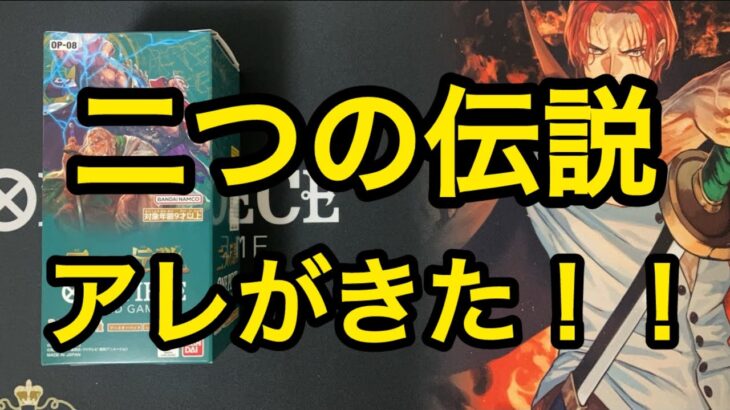 【ワンピースカード】『二つの伝説』2箱目開封!!　アレが出ました！