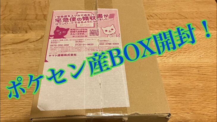 3話　ポケセン産BOX開封　ラスト1分の衝撃？！