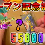 【ポケカ】ダウントレンドを気にせず55万円のオープン記念福袋を買って開封してみたら…久しぶりにコンセプトの塊でエモすぎる内容だった【ポケモンカード】