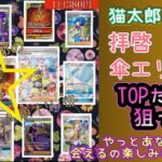 【ポケカ/オリパ開封】猫チャレンジでTOPの傘エリカを狙って行ったら！