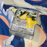 ポケモンカードのブロックオリパ開封という名の購入品紹介だったりするのかもしれない。