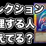 【遊戯王】長く低迷しているとコレクションを手放したくなる？遊戯王もポケカも余剰資金で買ってたらそうは思わない