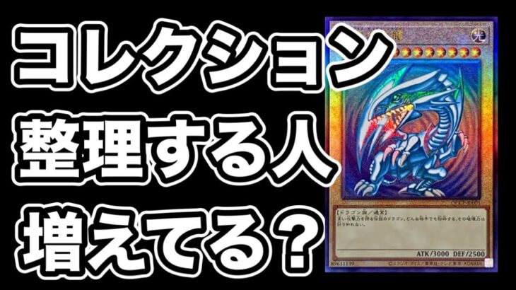 【遊戯王】長く低迷しているとコレクションを手放したくなる？遊戯王もポケカも余剰資金で買ってたらそうは思わない