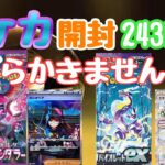 【ポケカ】とん吉の毎日開封２４３日目今回は混合バイオレット＆ナイトワンダラー