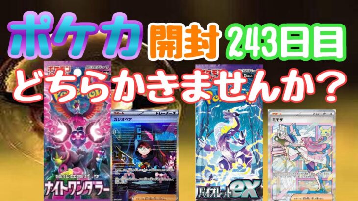 【ポケカ】とん吉の毎日開封２４３日目今回は混合バイオレット＆ナイトワンダラー