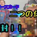 ワンピカード　二つの伝説　レイリーを狙って！！