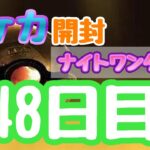 【ポケカ】とん吉の毎日開封２４８日目この子は初「ナイトワンダラー」