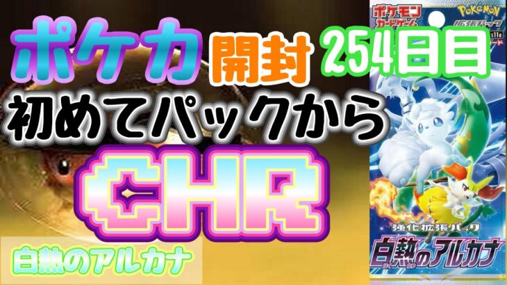 【ポケカ】とん吉の毎日開封２５４日目初体験の白熱のアルカナ