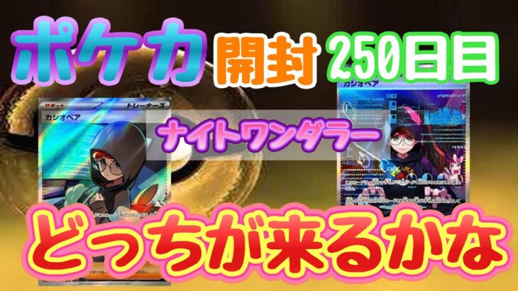 【ポケカ】とん吉の毎日開封２５０日目サポートだけは集まっていく「ナイトワンダラー」