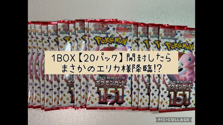 【ポケカ】 ポケモンカード 151 1BOX分 20パック開封 【エリカ】