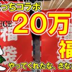 【さなだっちコラボ】福袋20万円分開封！衝撃の中身に一同愕然。【ワンピースカードゲーム】