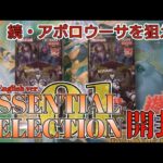 【遊戯王／BOX開封】不屈の心でアジア英語版でのリベンジを狙った結果【ESSENTIAL SELECTION 01】