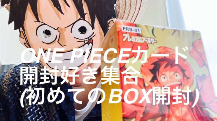 アラサーバツイチ男のONE PIECEカード開封