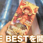 【ワンピカード】レア何種類あんねん…ONE PIECE CARD THE BESTと2年分の思い出を開封！