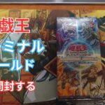 遊戯王　ターミナルワールドを開封する