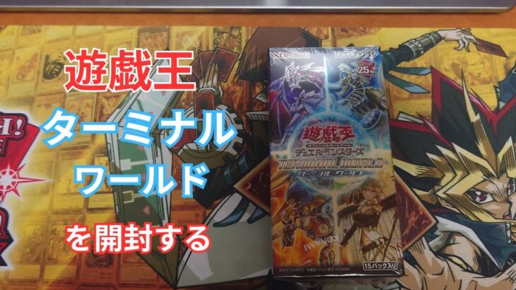 遊戯王　ターミナルワールドを開封する