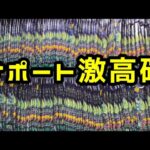 【開封動画】これだけ開封したら…とんでもないカードが出る説【ステラミラクル】