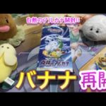 【ポケカ】再販で売っていた白熱のアルカナを開封していく!! 【ポケモンカード/再販/開封】