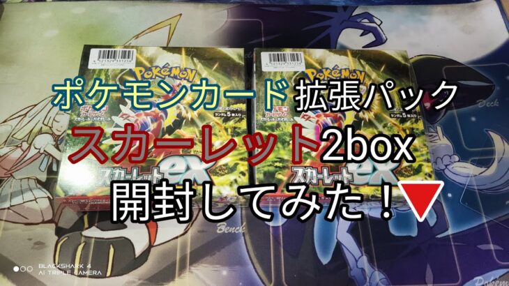 再販　ポケモンカード 拡張パック スカーレット2box 開封してみた！▼発売日2023年1月20日