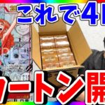 【追撃】ゴッドパックを狙え!!第4回プレミアムブースター1カートン開封!!（ワンピースカード）