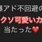 【ポケモン】ポケカ500円オリパ開封。