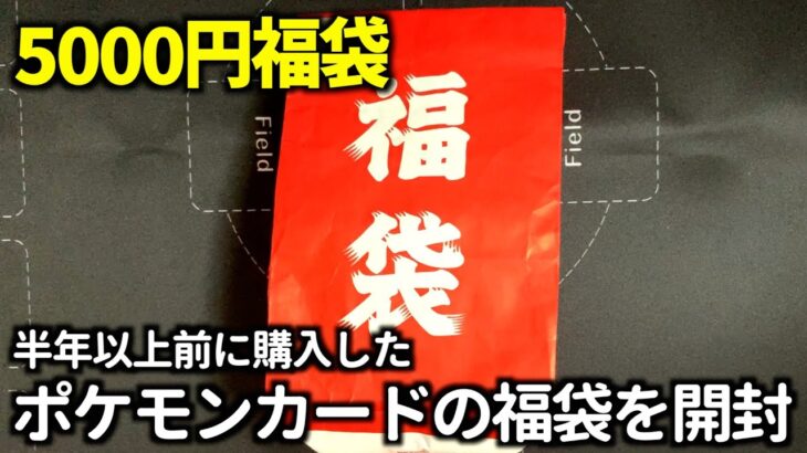 【ポケカ開封】半年以上前に5000円で購入したポケカの福袋はどんなカードが入っているか検証！【ブロックオリパ開封動画】