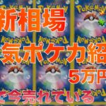 【ポケカ】今売れている5万円以下の注目ポケカ選　2024/8/21 21時 更新