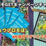 【ポケカ】夏のプロモピカチュウ！6枚で何枚当たるのか？