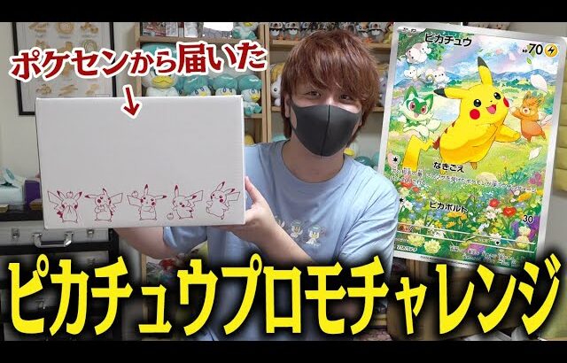 【ポケカ】ガチで可愛いピカチュウのプロモを確保しろ！！『ポケカの夏がキタ!プロモカードGetキャンペーン』で神引きするぞ！！！！【開封動画】