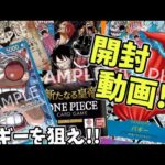 【新たなる皇帝】推しのバギーがほしい!!ONEPIECEカード開封!!新たなる皇帝