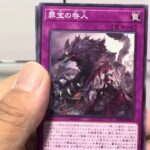 遊戯王 RAGE OF THE ABYSS レイジ・オブ・ジ・アビス 10パック開封！！！！！！！