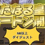 [開封][ワンピースカード]新たなる皇帝！カートン開封！SR以上ダイジェスト版！