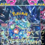 ポケモンカード開封　割引きナイトワンダラーと定価ステラミラクル開封してみたらどっちかいいの？