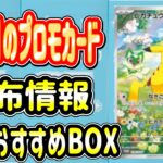 お得情報【ポケカ】８月８日大注目のプロモカードが無料でゲットできる！