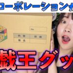 【遊戯王】平成の神アニメ！遊戯王の神グッズ大量開封！！！