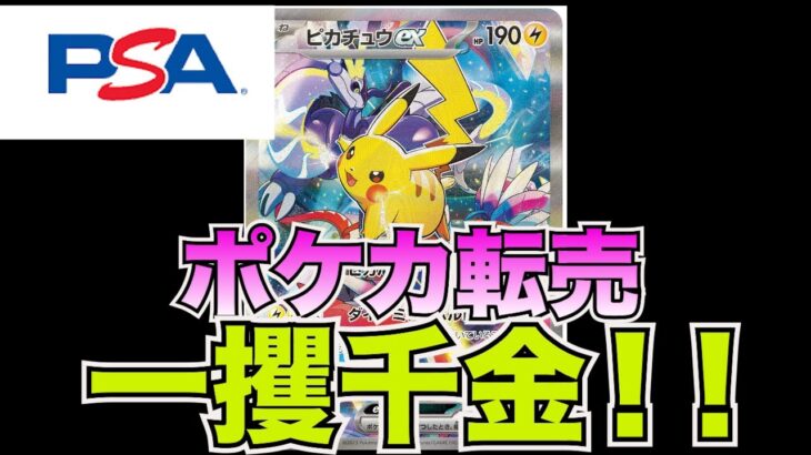 【新企画】販売利益はいくら？ポケカ転売で稼いだ金額を算出！よく言われるポケカ転売はオワコン⁉