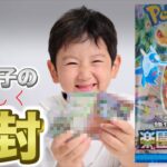 楽園ドラゴーナ｜小1男子の楽しくポケカ開封｜ポケモンカード