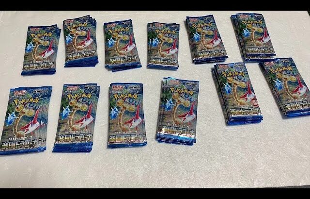 ポケモンカード　楽園ドラグーナ12店舗で買った63パック開封！＋1店舗