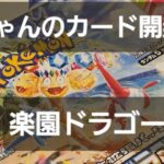 ポケカ 楽園ドラゴーナ開封！！　いつも狙いは2枚箱♪