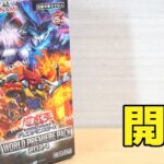 【遊戯王】燃え上れ…?「ワールドプレミアパック2024」を開封！ Yugioh World Premiere Pack 2024 Opening!