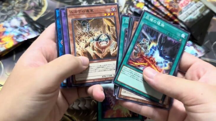 【遊戯王】遊戯王の日の参加費のワールドプレミアパック2024を14パック開封！