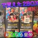 【ワンピース】新たなる皇帝2BOX開封🔥前回パラレルすら引けなかったので今回は引いていきたい‼️💦