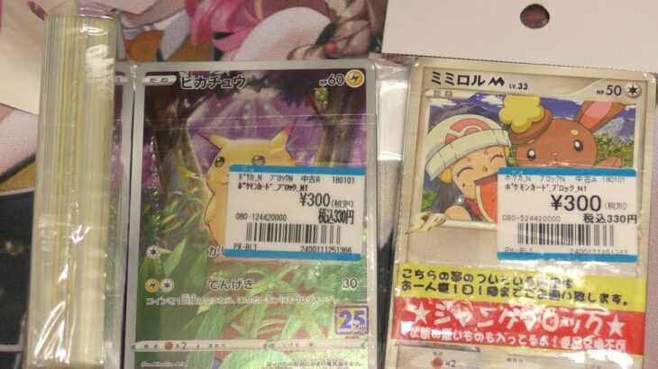 【ポケカ・開封】古そうなカードが入っていそうな300円ブロック