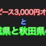 【ワンピース】3,000円オリパ開封。