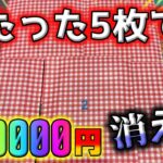 【ポケカ】5枚で50万…驚愕の高額ポケカ開封でエモいカードや激熱カードがてんこ盛りでした【ポケモンカード】