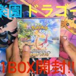 【ポケモンカード開封】9月13日発売 ポケモンカード  楽園ドラゴーナ1BOX開封!!