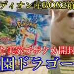 【ポケモンカード】横浜エディオン産＜楽園ドラゴーナBOX開封（2箱目）＞